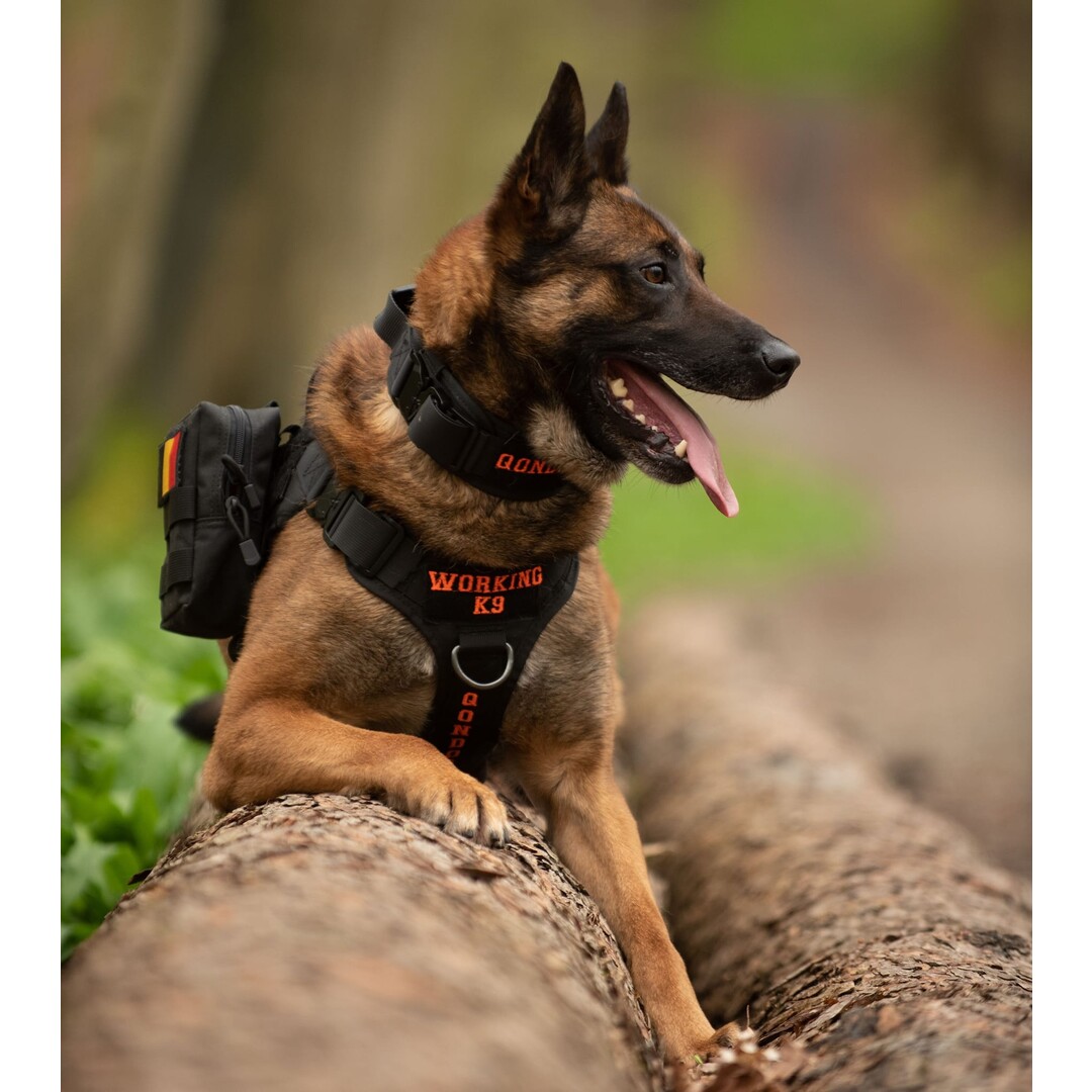 Buitenkansje: 2x Tactical Dog Pouch Khaki