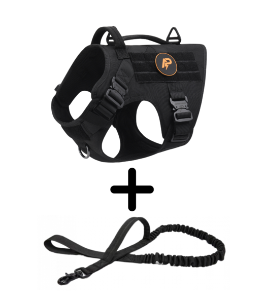 Combi-Deal Pro K9 Harness + Leash Black