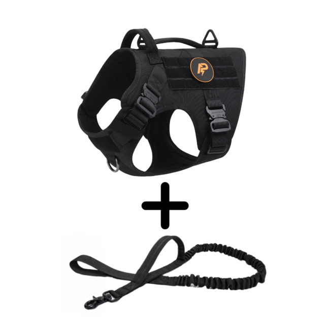 Combi-Deal Pro K9 Harness + Leash Black