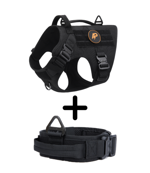 Combi-Deal Pro K9 Harness + Collar Black