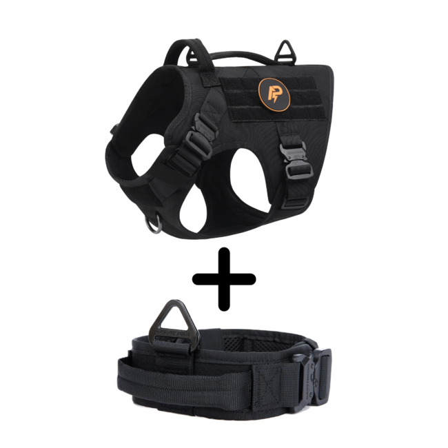 Combi-Deal Pro K9 Harness + Collar Black