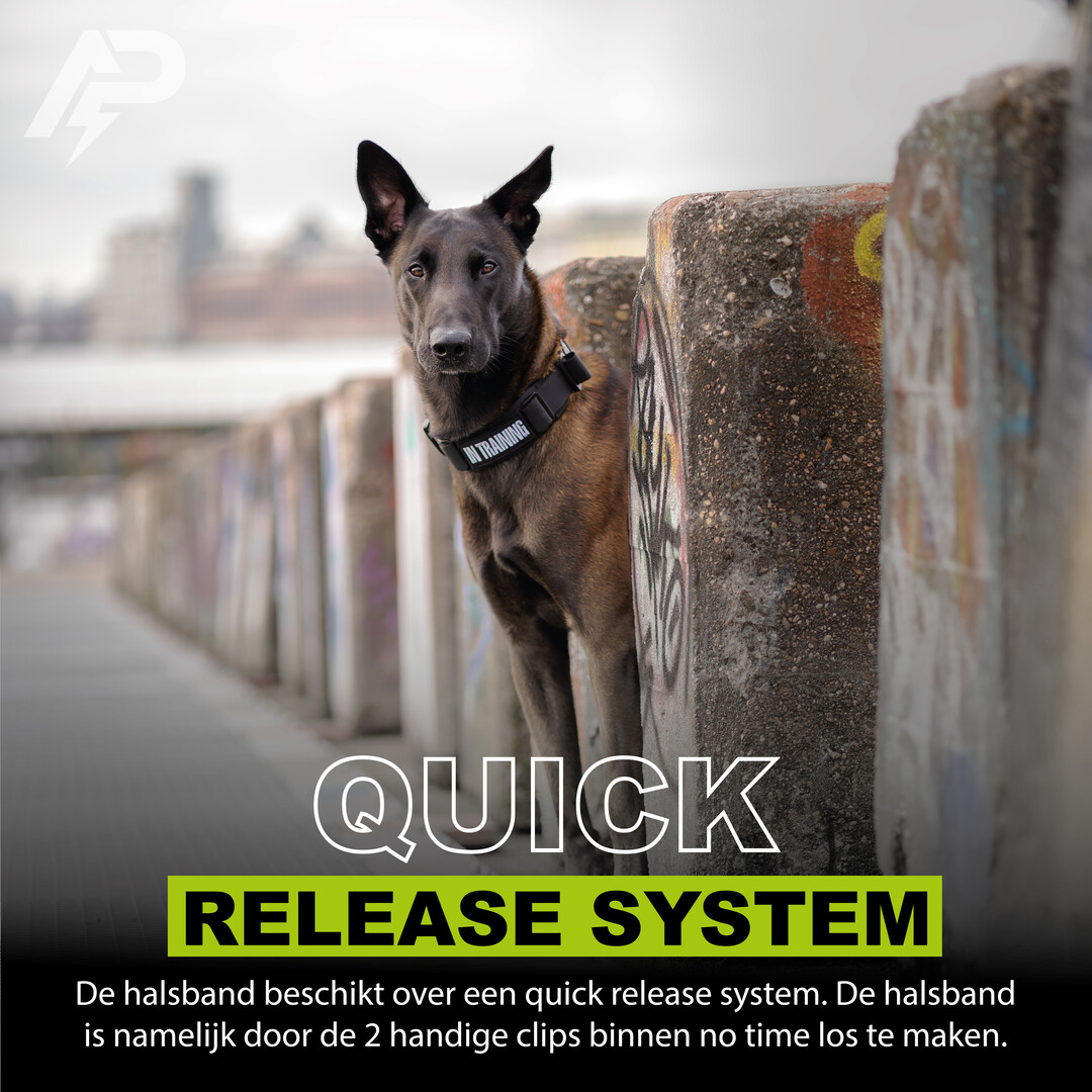 Combi-Deal Pro K9 Tuig + Halsband Zwart