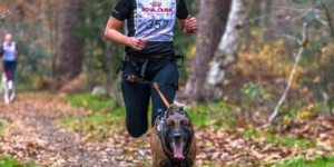 Ontdek Canicross: een leuke en actieve manier om met je hond te trainen