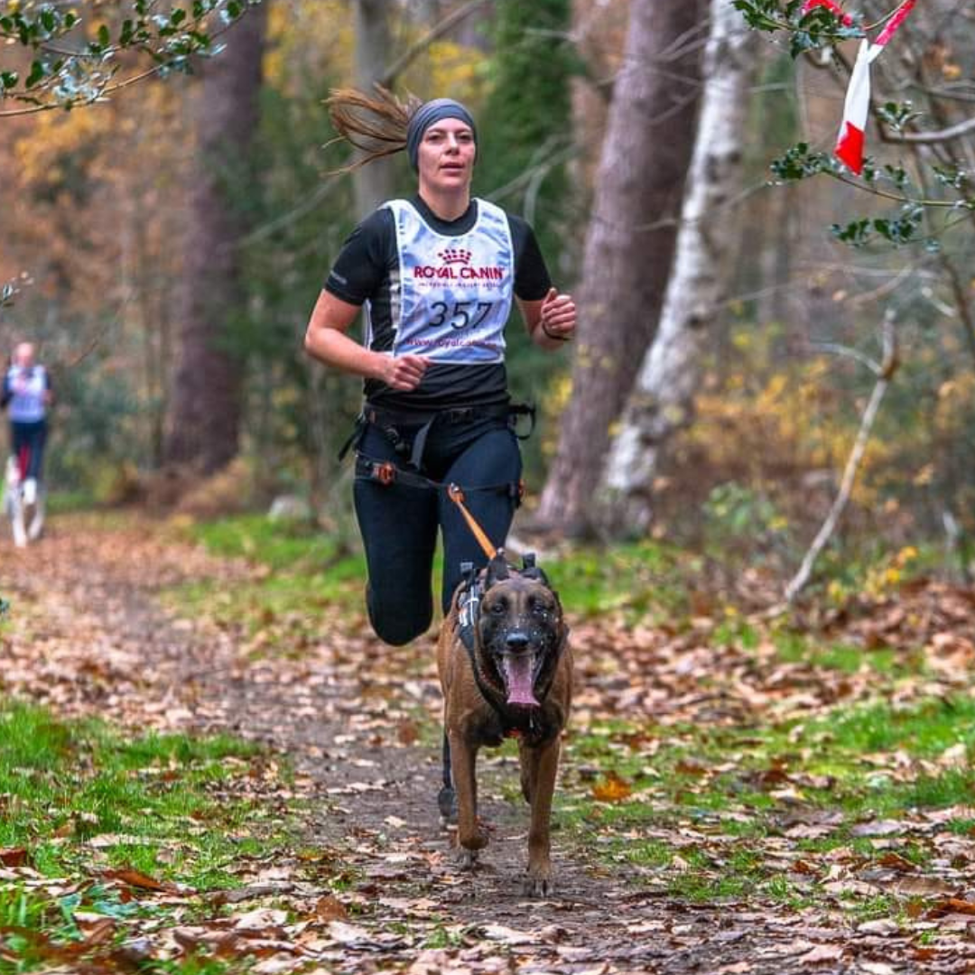 Ontdek Canicross: een leuke en actieve manier om met je hond te trainen