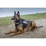 Custom Patch for Dog harness