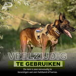 Pro Leash V2 | 120/180/240cm