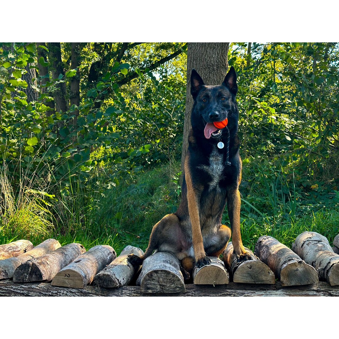 Meteor bal met touw 60mm