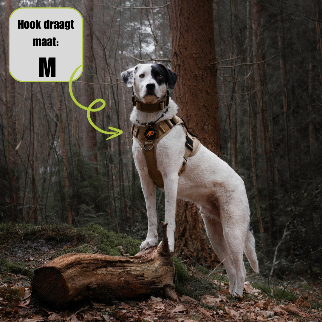 Pro Dog Harness Khaki