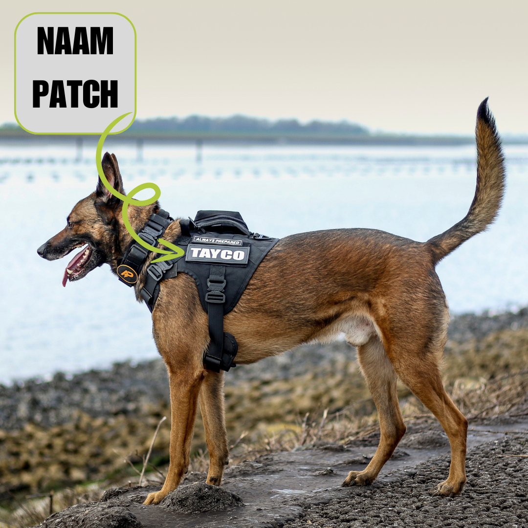 Combi-Deal Pro Harness + Leash Black