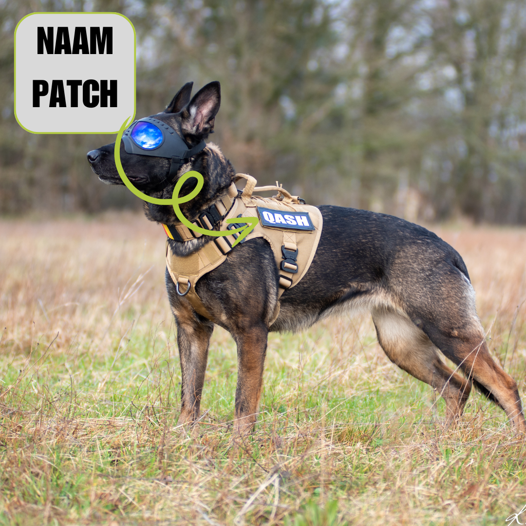 Combi-Deal Pro Harness + Leash Khaki