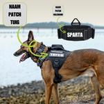 Combi-Deal Pro Harness + Collar Black