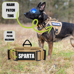 Combi-Deal Pro Harness + Collar khaki