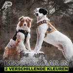 Combi-Deal Pro K9 Tuig + Korthouder Zwart