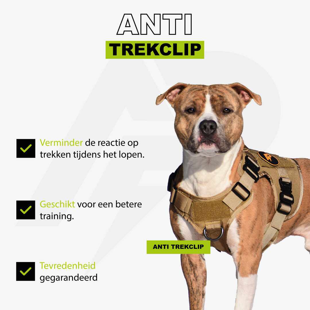 Combi-Deal Pro K9 Tuig + Korthouder Khaki
