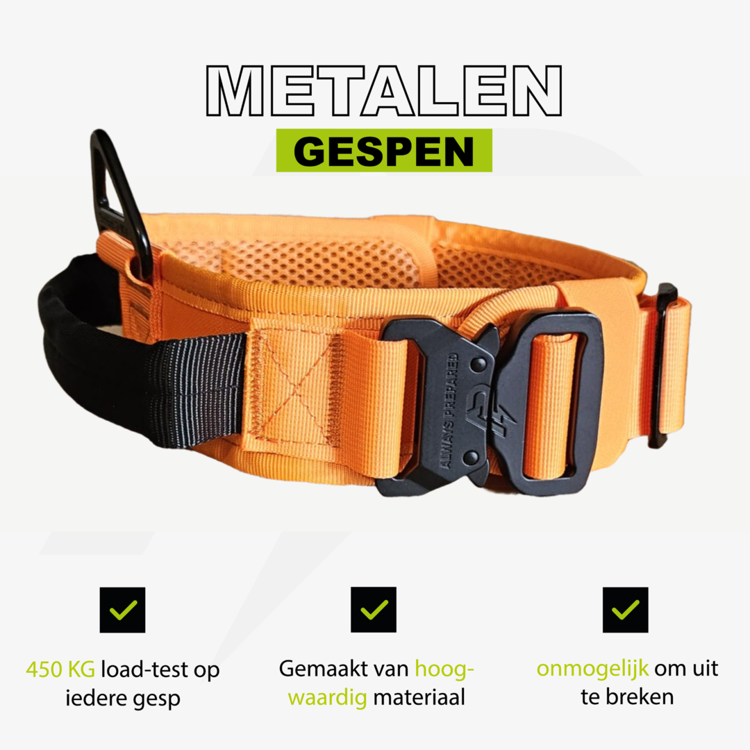 Pro Halsband Oranje