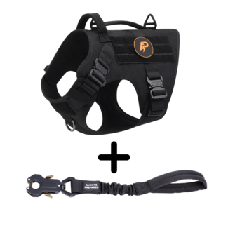 Combi-Deal Pro Harness + Short Leash Black
