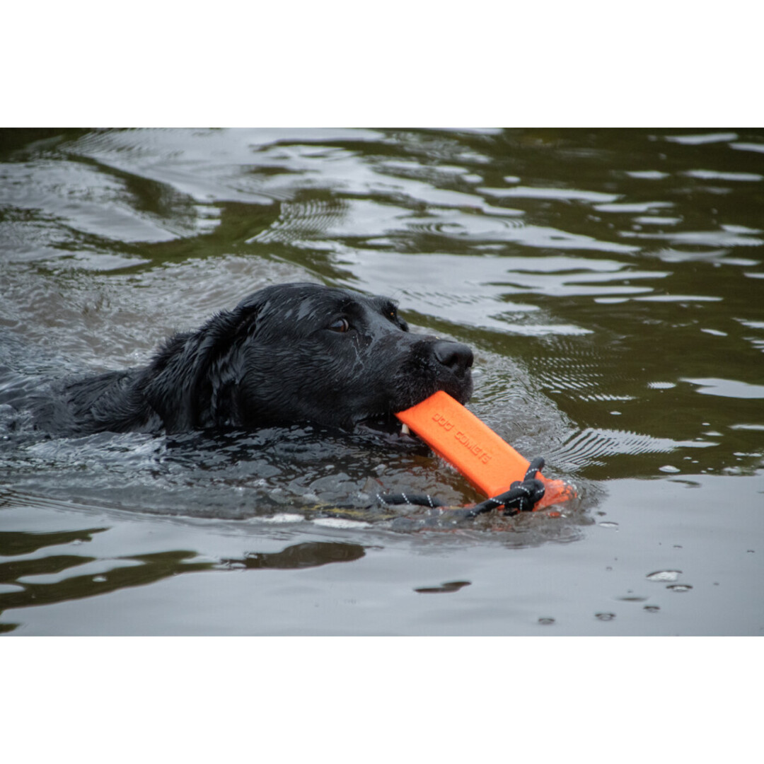 Orion Apporteer Dummy