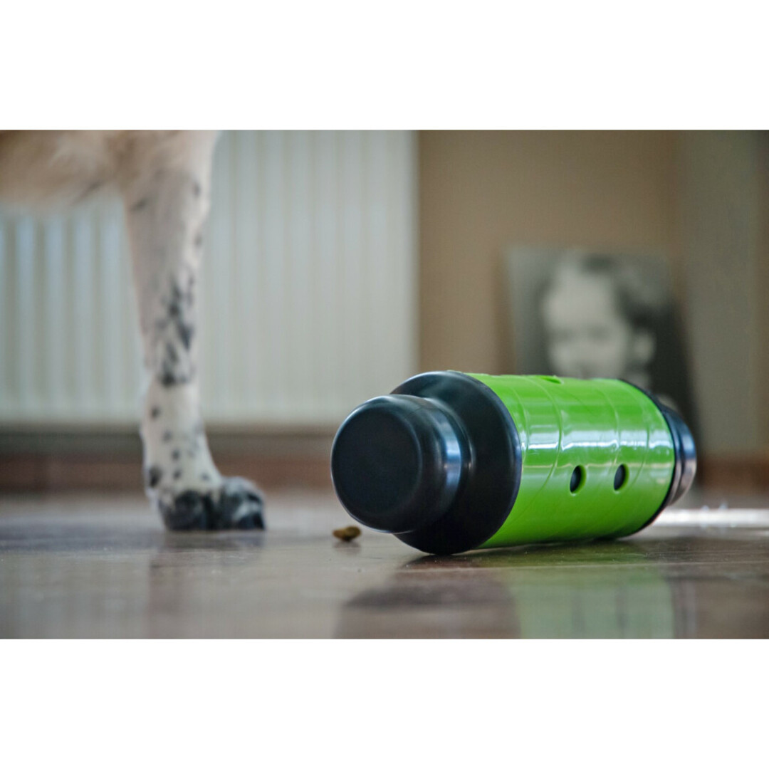 Feed & Treat Roller – Mental Challenge & Fun – Green or Grey