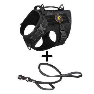 Combi-Deal Pro Harness + Leash Reflective