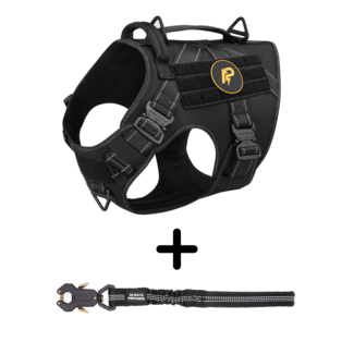Combi-Deal Pro Harness + Short Leash Reflective