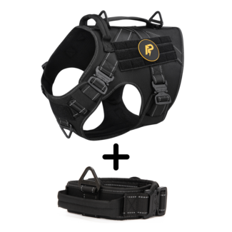 Combi-Deal Pro Harness + Collar Reflective