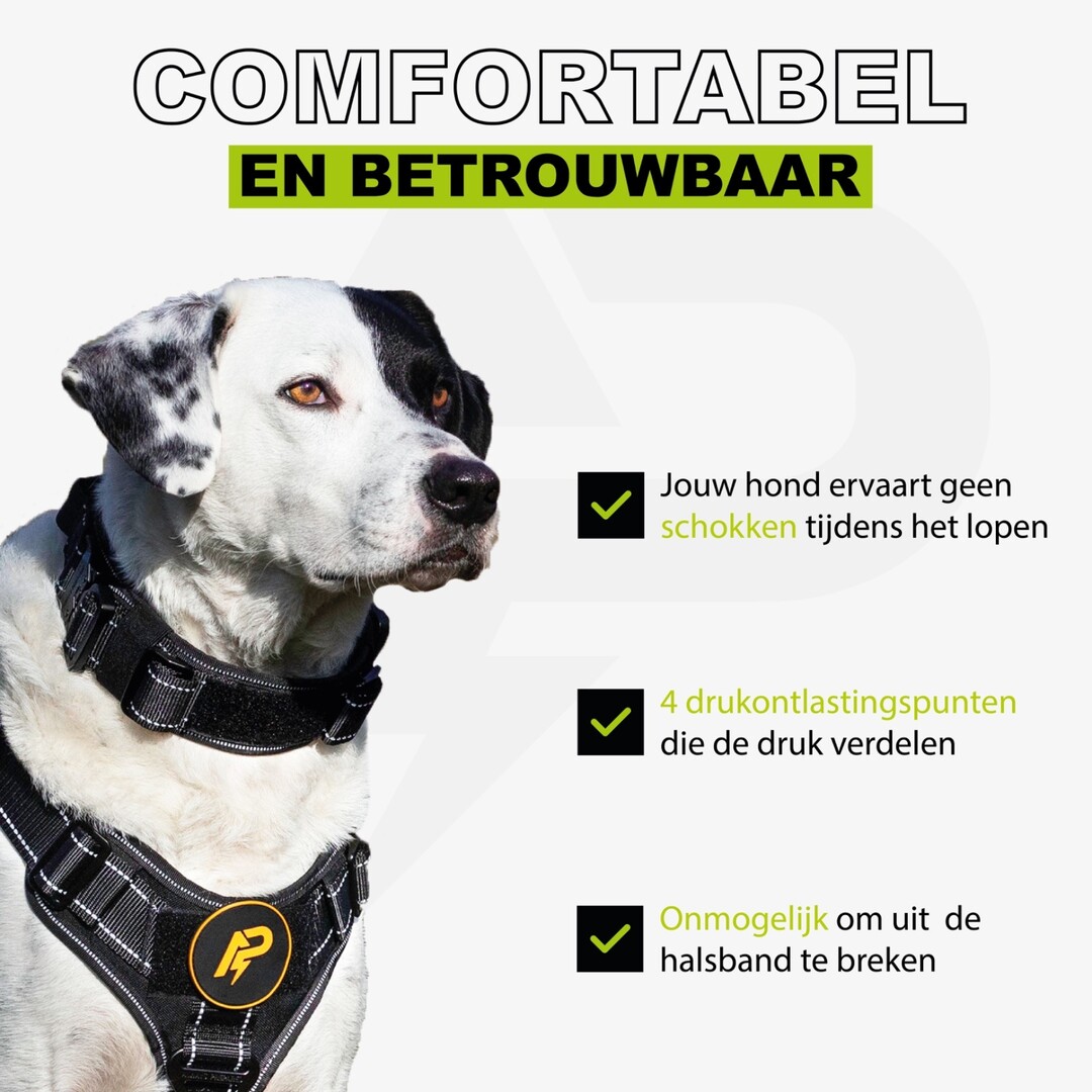 Pro Collar Reflective