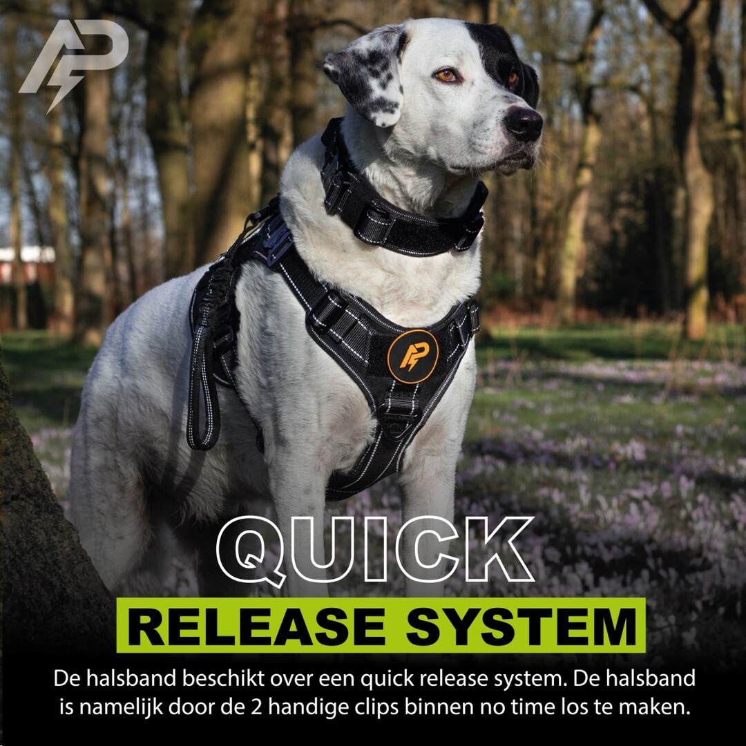 Pro Collar Reflective