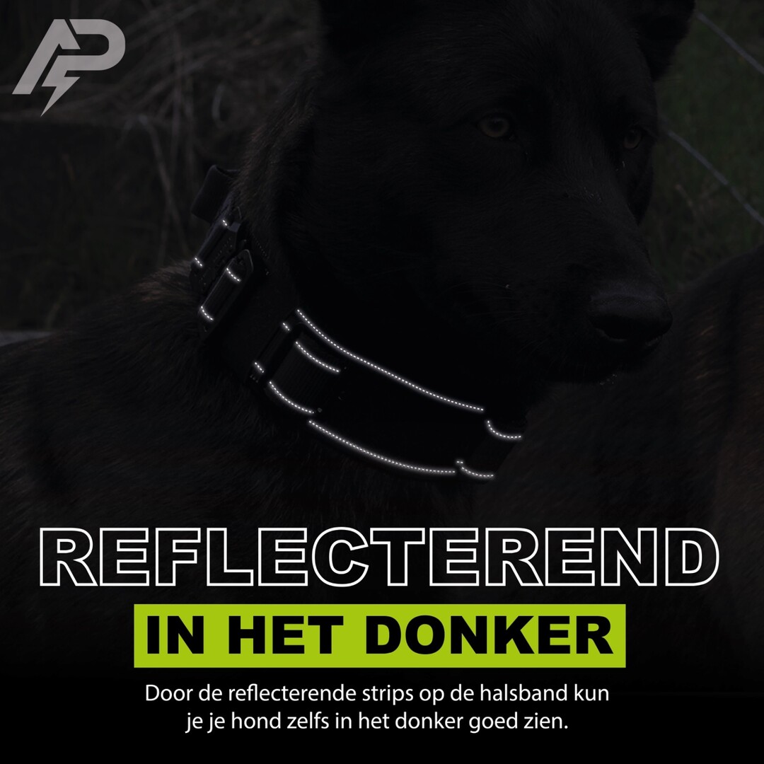 Pro Collar Reflective