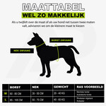 Combi-Deal Pro Harness + Leash Reflective