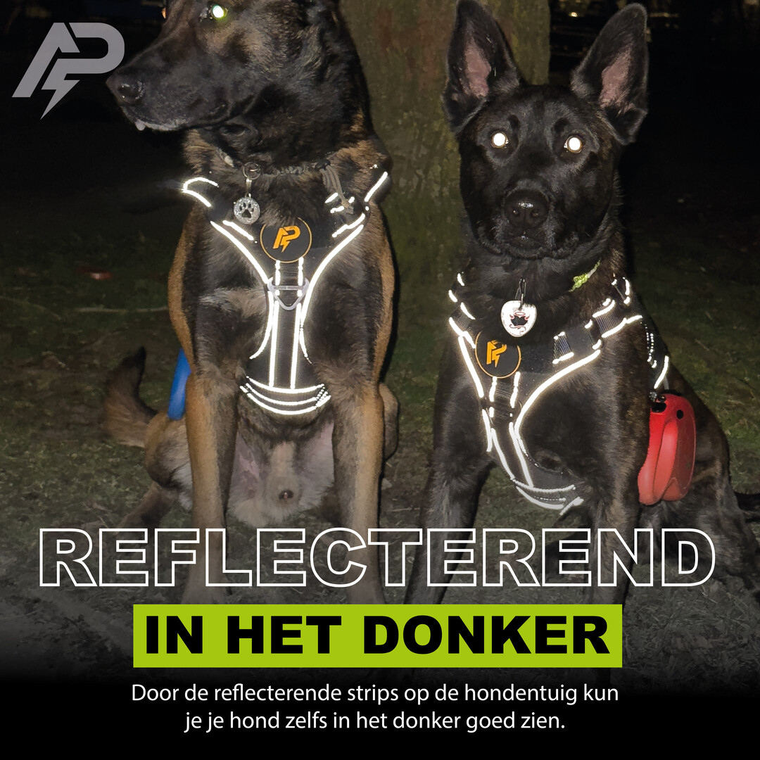 Combi-Deal Pro K9 Harness + Short Leash Reflective