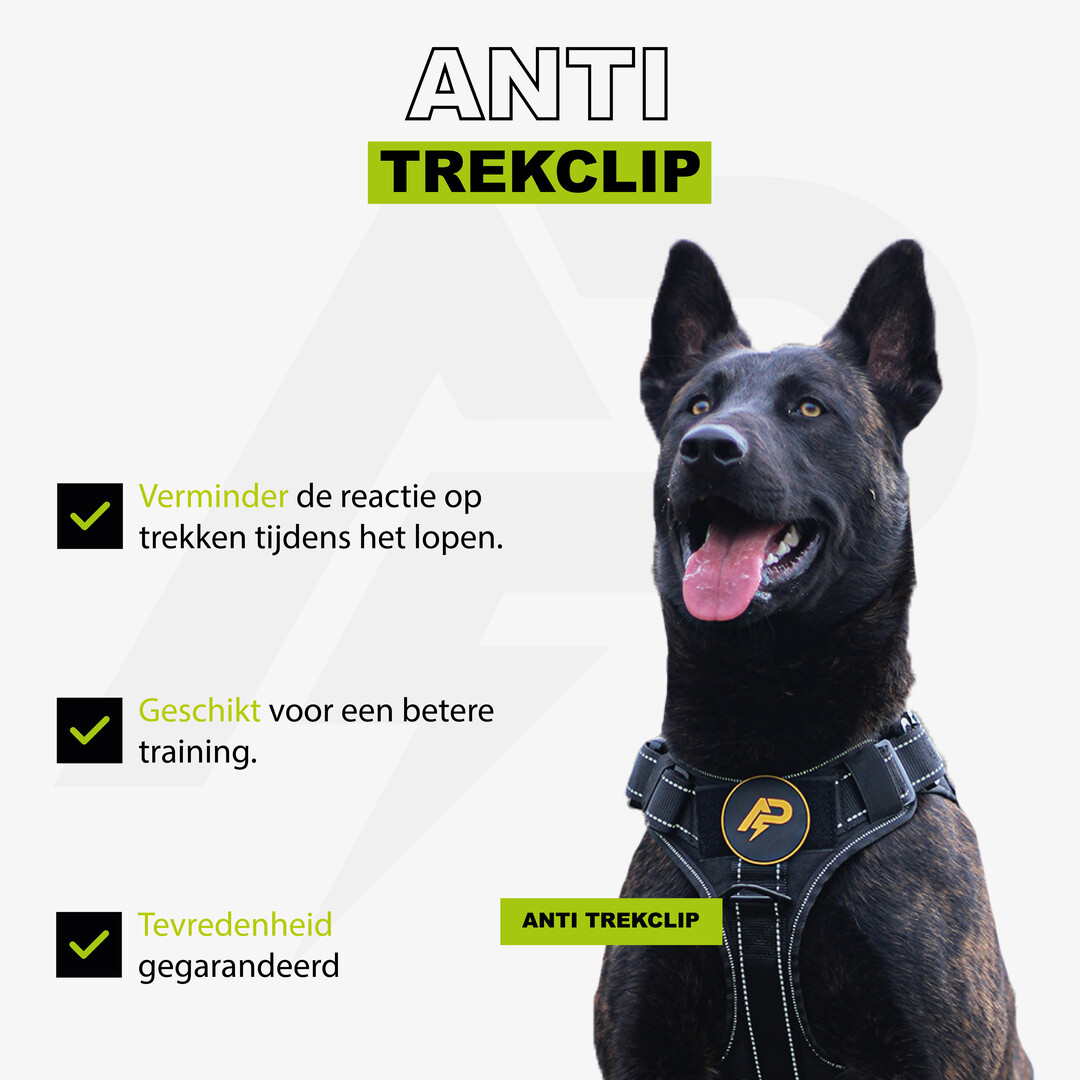 Combi-Deal Pro K9 Harness + Collar Reflective