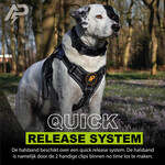 Combi-Deal Pro Harness + Collar Reflective