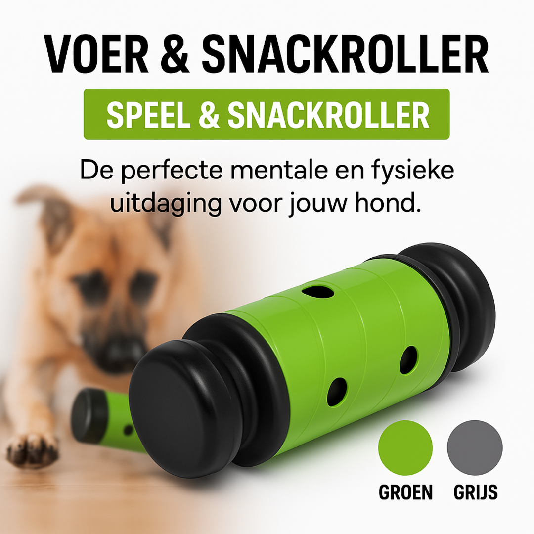 Feed & Treat Roller – Mental Challenge & Fun – Green or Grey