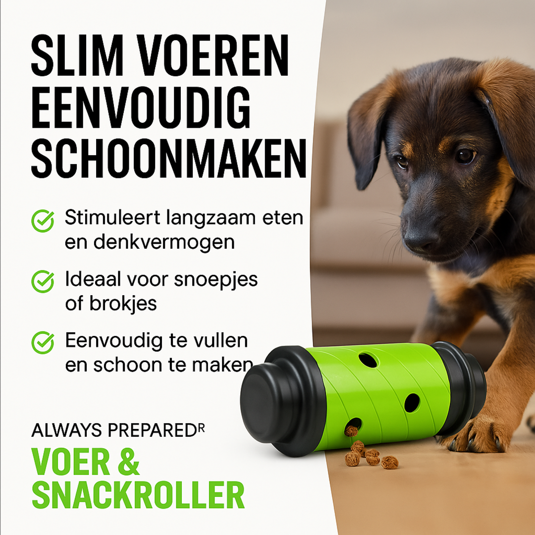 Feed & Treat Roller – Mental Challenge & Fun – Green or Grey