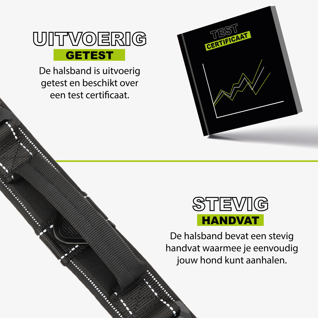 Combi-Deal Pro Collar + Leash Reflective