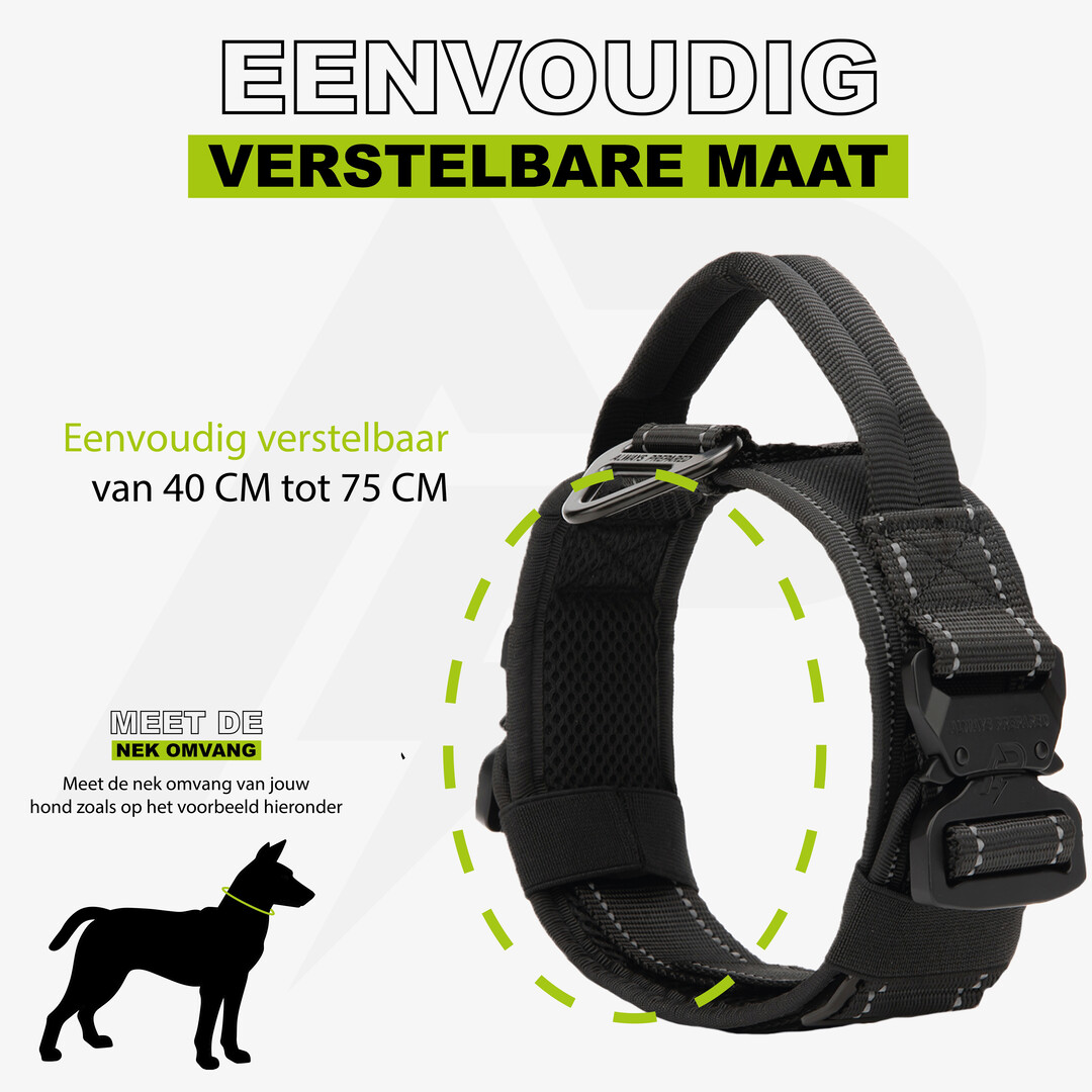 Combi-Deal Pro Collar + Leash Reflective