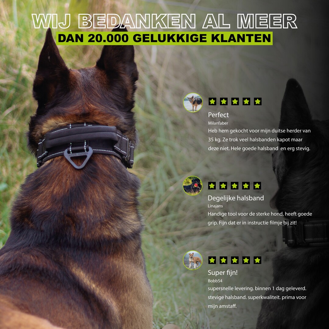 Combi-Deal Pro Collar + Leash Reflective