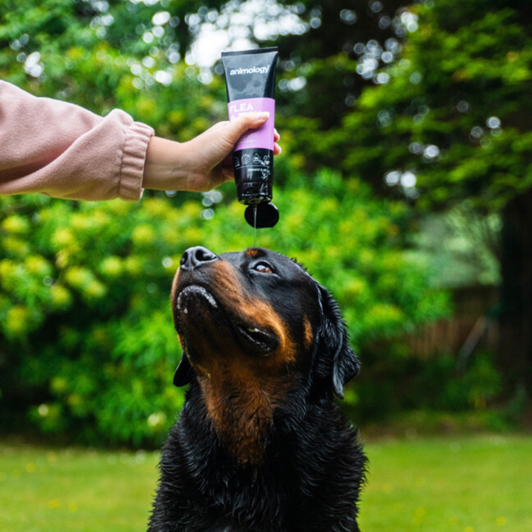 Always Prepared® Tactical Clean – Anti-Vlo & Teken