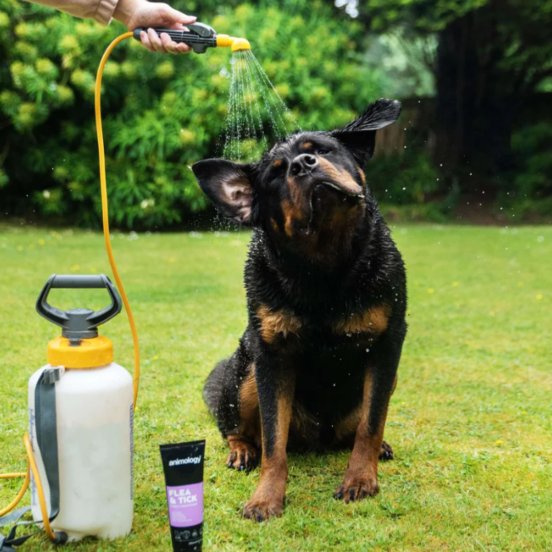 Always Prepared® Tactical Clean – Anti-Vlo & Teken