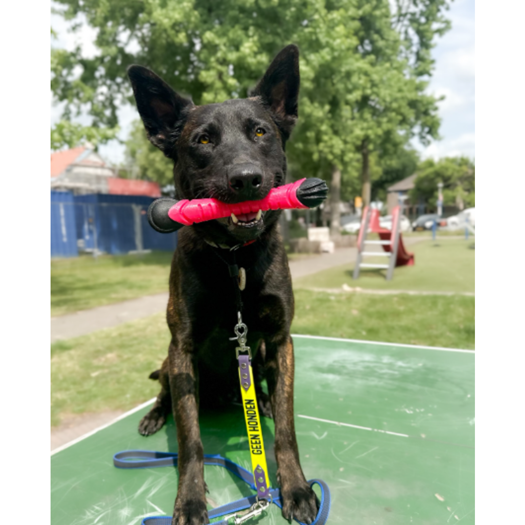 Fetch Blaster - Durable Dog Throw Stick - Bounces & Floats - Perfect for Fetch