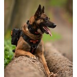 Tactical Dog Pouch Orange