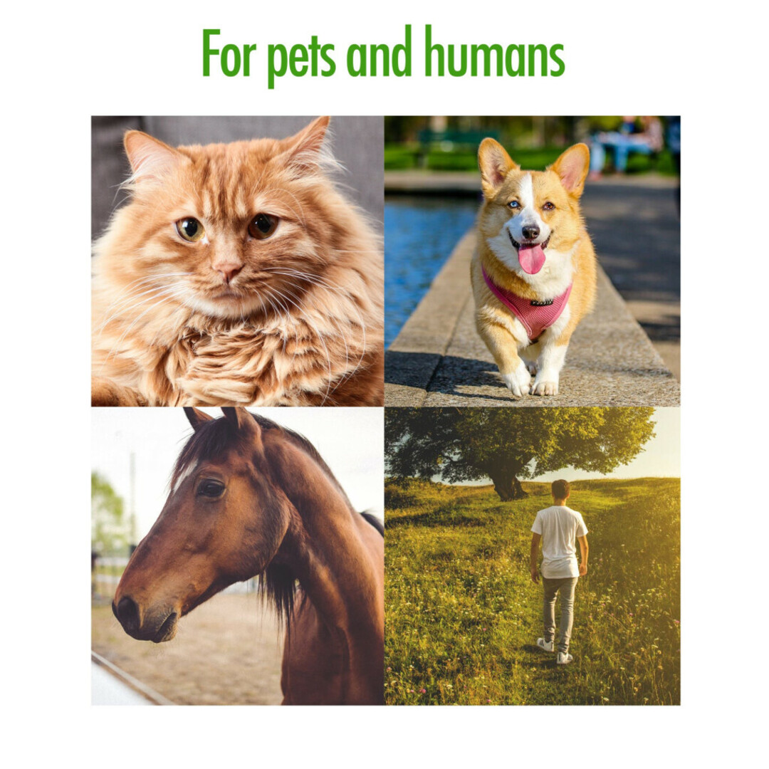 SafeTwist Tekentang – Veilig en Compleet Teken Verwijderen (Set van 2)