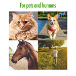 Tick Remover – Quick, Safe & Complete Tick Removal (Set of 2)