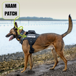 Pro Dog Harness Orange