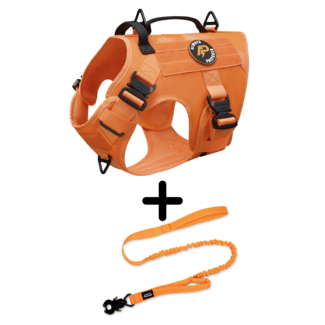 Combi-Deal Pro K9 Tuig + Riem Oranje