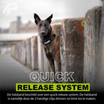 Combi-Deal Pro Tuig + Halsband Oranje