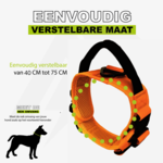 Combi-Deal Pro Tuig + Halsband Oranje
