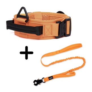 Combi-Deal Pro Halsband + Riem Oranje