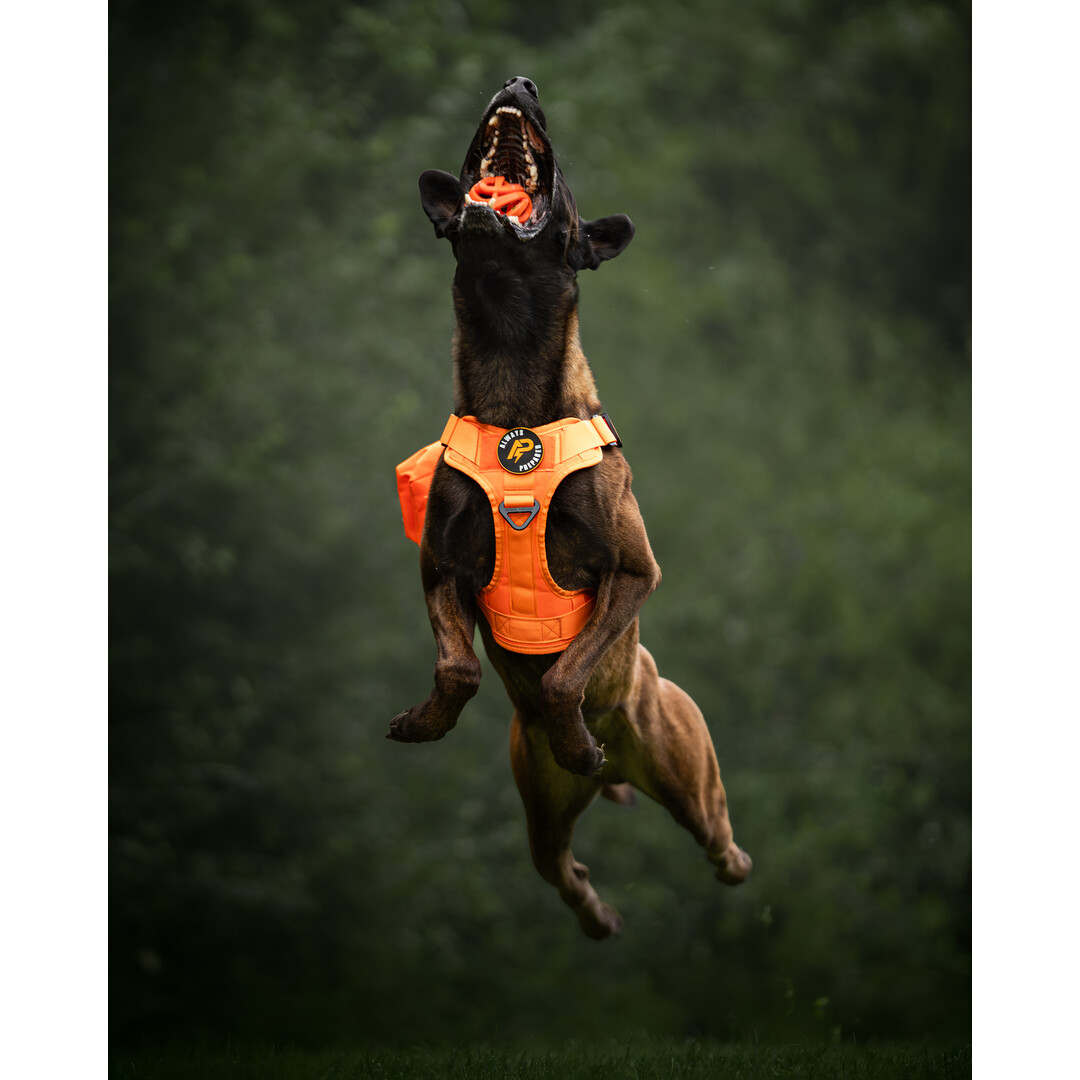 Chuckit! Air Fetch Ball M (2-pack)