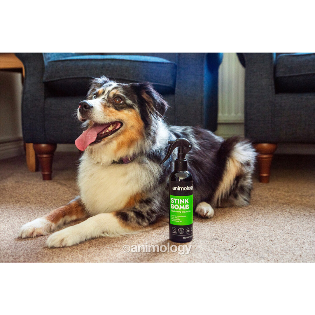Stink Bomb – Deodorising Dog Spray with Conditioner & Vitamins – 250 ml